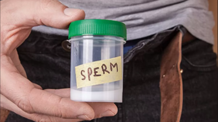 Considering Egg or Sperm Donation? Important Things You Should Know